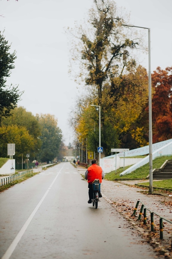 bicicleta, ciclista, homem, estrada, asfalto, beco, outono, calçada, rua, árvore