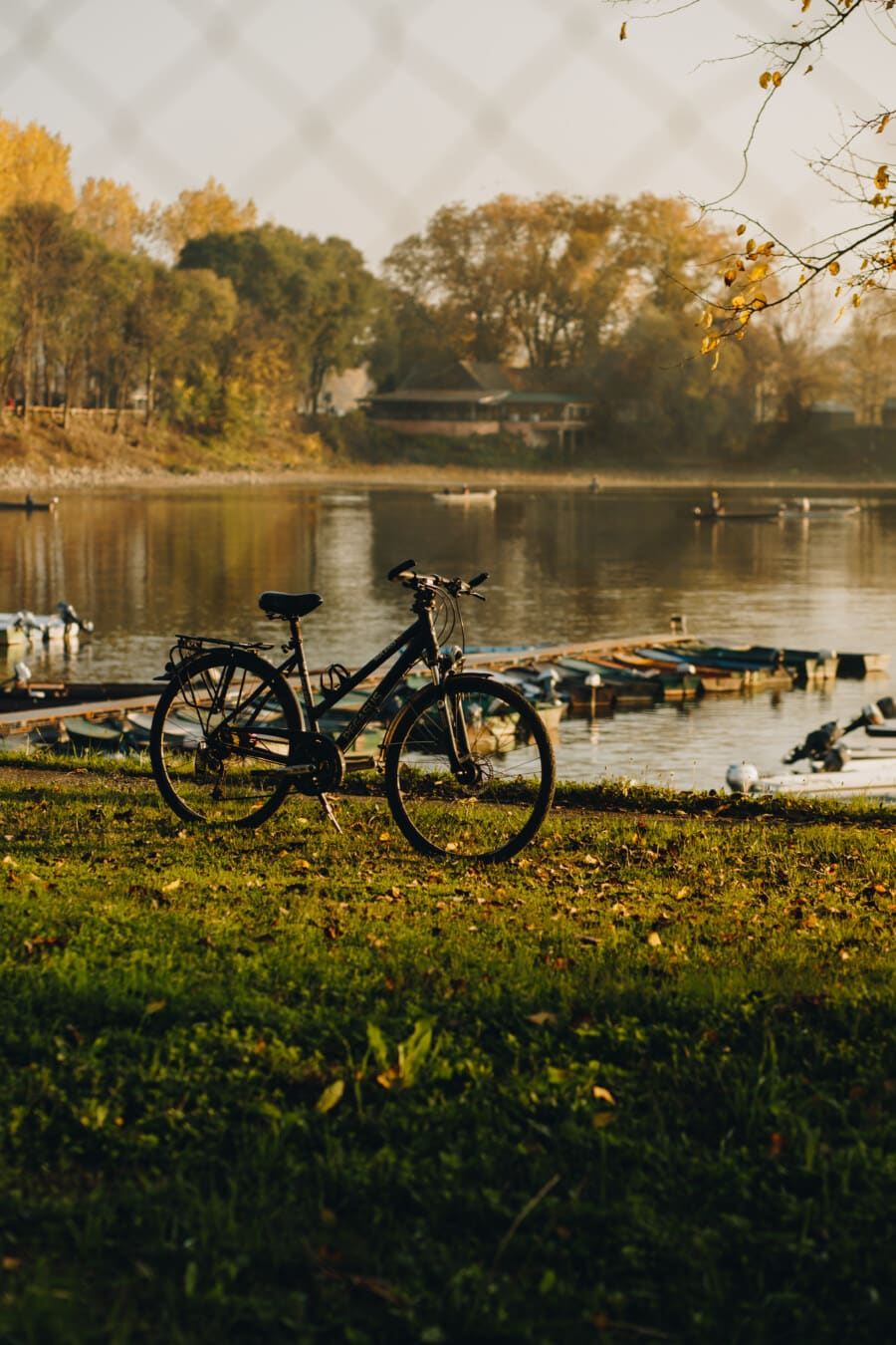 bicycle, harbor, lakeside, wheel, water, lake, dawn, nature, landscape, park