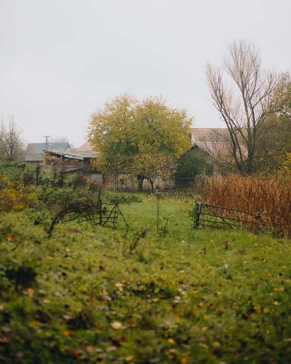 farmhouse, rural, backyard, village, landscape, countryside, nature, farm, grass, country