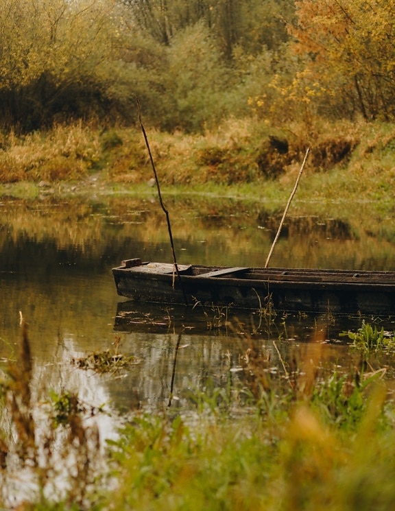 channel, autumn season, placid, wooden, boat, wetland, water, swamp, river, lake