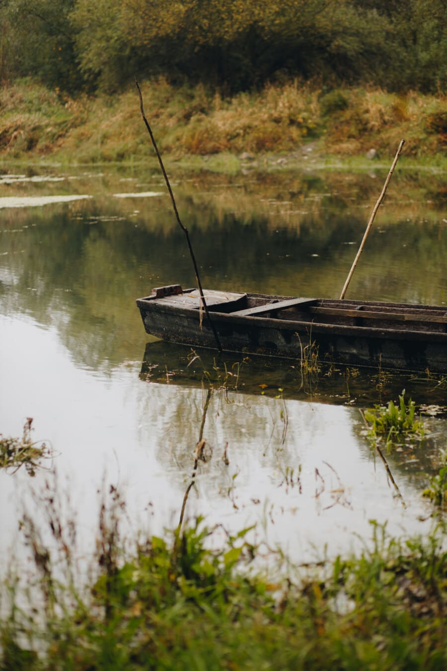 barco, abandonado, de madeira, canal, estação Outono, lago, rio, água, natureza, madeira