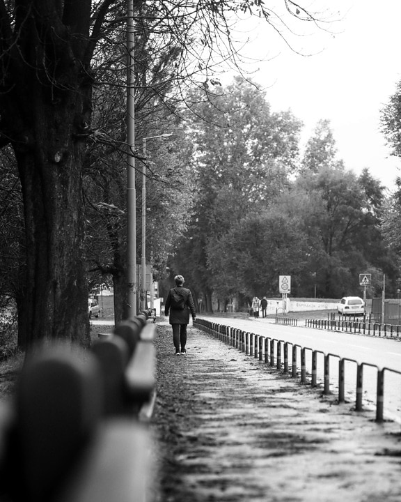 woman, walking, sidewalk, monochrome, fence, street, road, black and white, park, walk