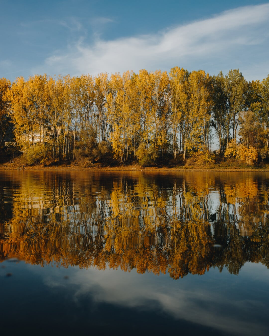 autunno, lago, riflessione, orizzontale, idilliaco, maestoso, acqua, natura, bel tempo, luminosa