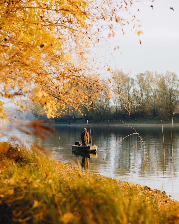rybár, rybársky čln, jesennej sezóny, kanál, breh, jeseň, voda, strom, rieka, pri jazere