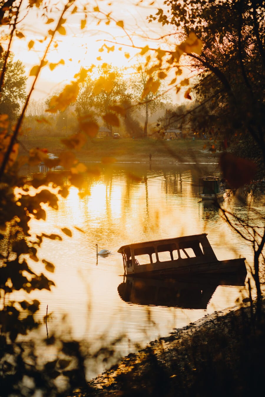 boat, abandoned, sunset, autumn, sunlight, bright, dawn, water, nature, lake