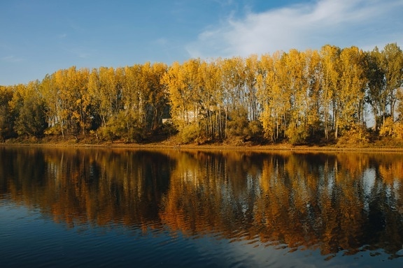 musim gugur, indah, tepi danau, tenang, refleksi, taman alam, air, pemandangan, sungai, poplar