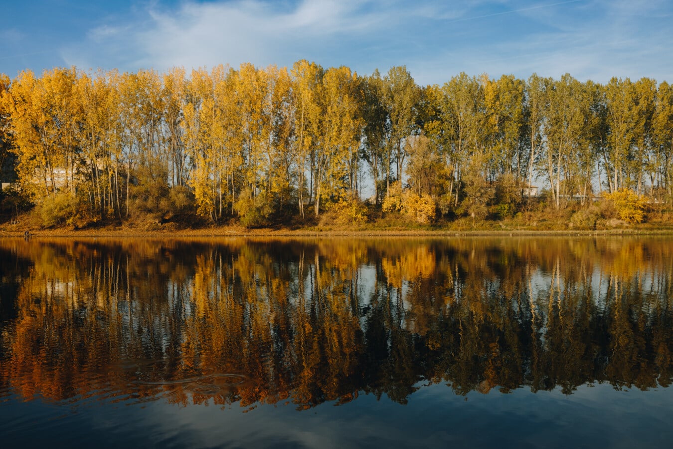 efterår, ved søen, idylliske, fredsommelig, træer, blå himmel, refleksion, vand, landskab, søen