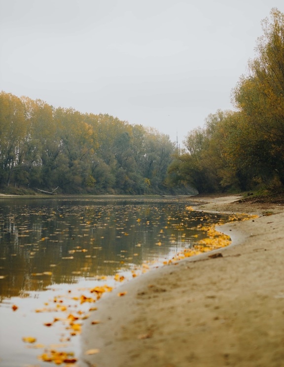 río, otoño, orilla del río, Costa, arena, agua, paisaje, canal, naturaleza, amanecer