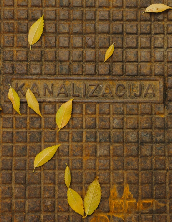 manhole cover, sewer, texture, text, metal, cast iron, yellow leaves, yellowish brown, old, leaf