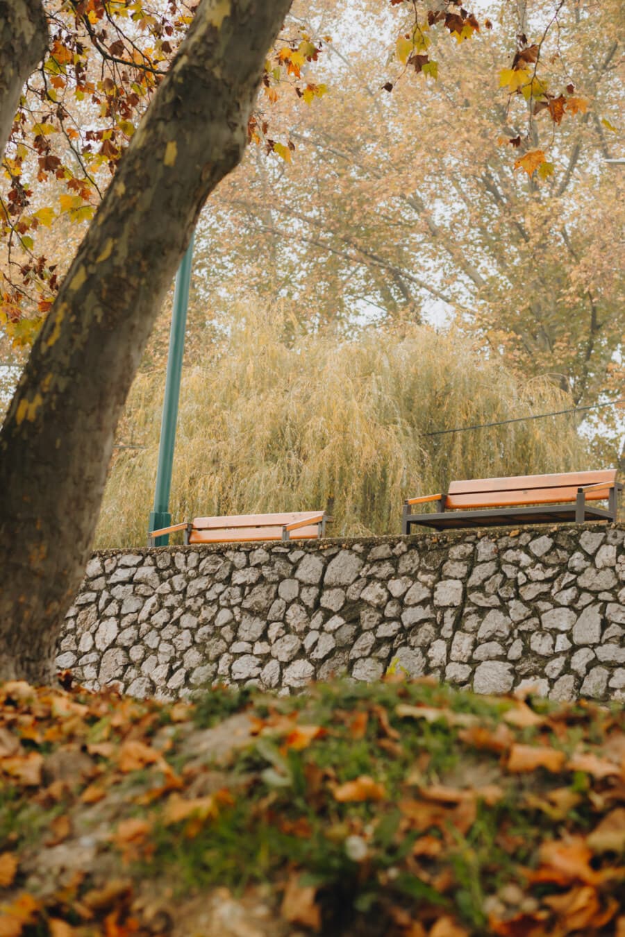 bench, alley, stone wall, autumn season, park, autumn, seat, tree, nature, outdoors