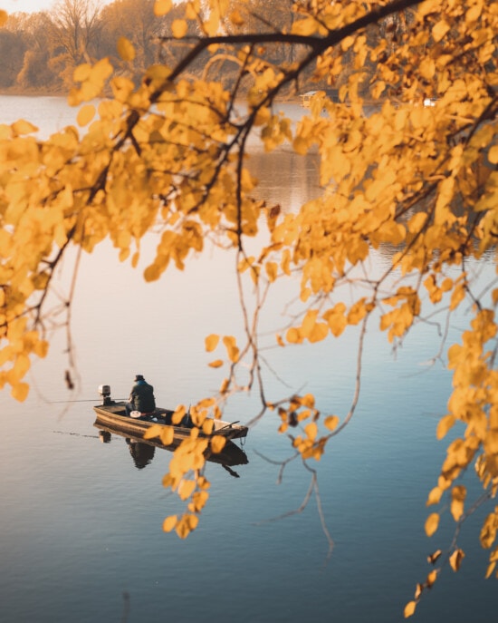 秋のシーズン, 漁師, 釣りボート, 枝, 黄色の葉, オーク, シーズン, 秋, 葉, ツリー