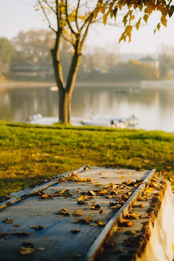 boat, abandoned, riverbank, autumn, nature, outdoors, grass, fair weather, outdoor, natural