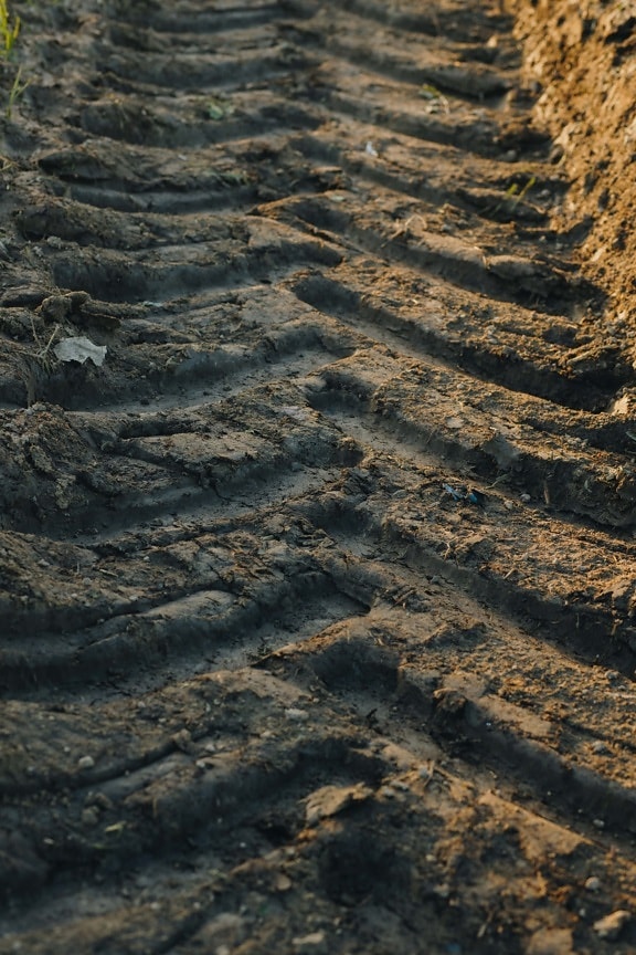 soil, mud, track, ground, earth, pattern, dirty, nature, outdoors, dry