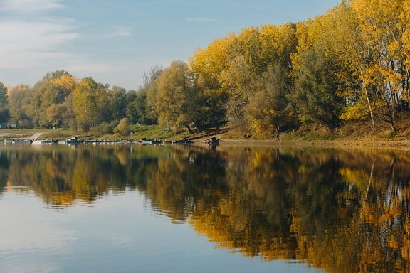 junto al lago, plácido, otoño, reflexión, nivel de agua, agua, paisaje, lago, otoño, naturaleza