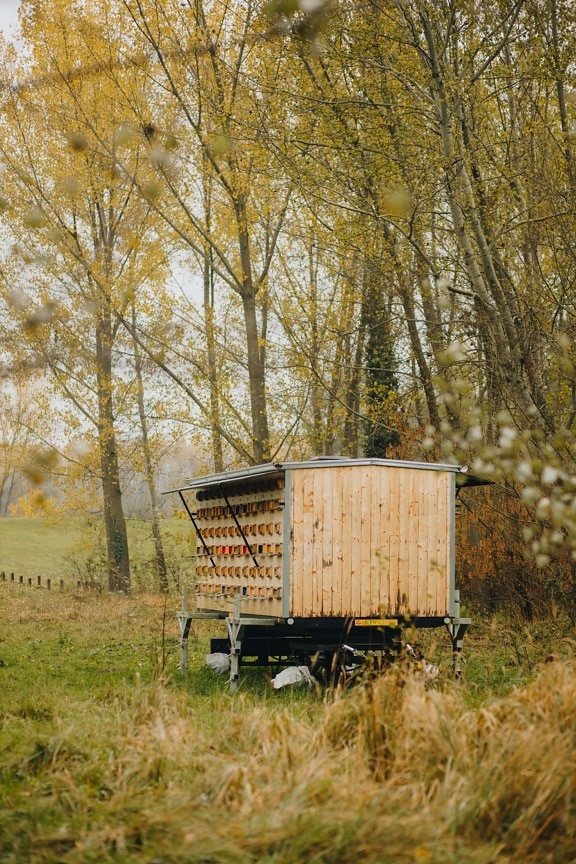 Honigbiene, Anhänger, aus Holz, alt, im freien, Bäume, Natur, Landwirtschaft, Gehäuse, Fahrzeug