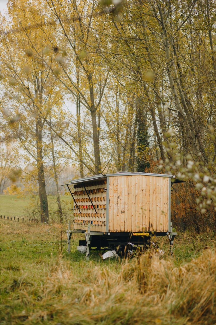 Honeybee, rimorchio, in legno, vecchio, all'aperto, alberi, natura, agricoltura, alloggiamento, veicolo