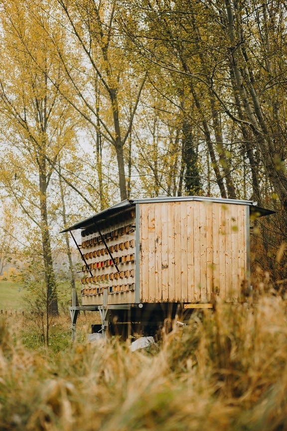 honeybee, trailer, shed, vehicle, structure, nature, outdoors, landscape, tree, countryside