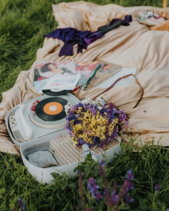 picnic, bouquet, vinyl plate, blanket, newspaper, summer, flower, grass, nature, music