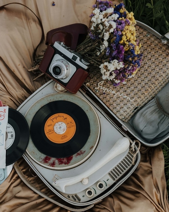 vintage, camera, gramophone, vinyl plate, flowers, bouquet, dry, sound, old, audio