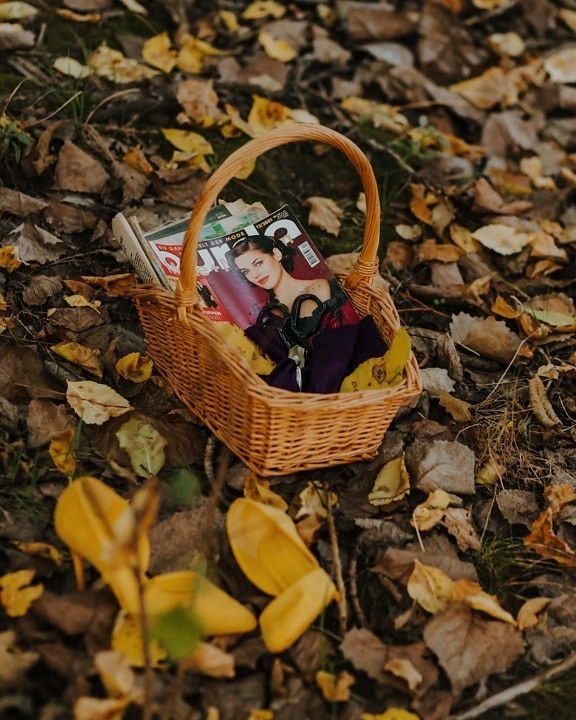 autumn, wicker basket, ground, newspaper, scissors, basket, outdoors, season, outdoor, object