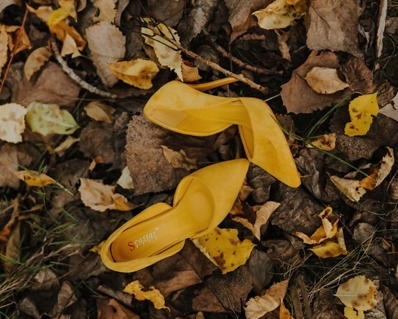 sandalia, cuero, amarillo, otoño, calzado, estilo, moda, tierra, seco, marrón claro