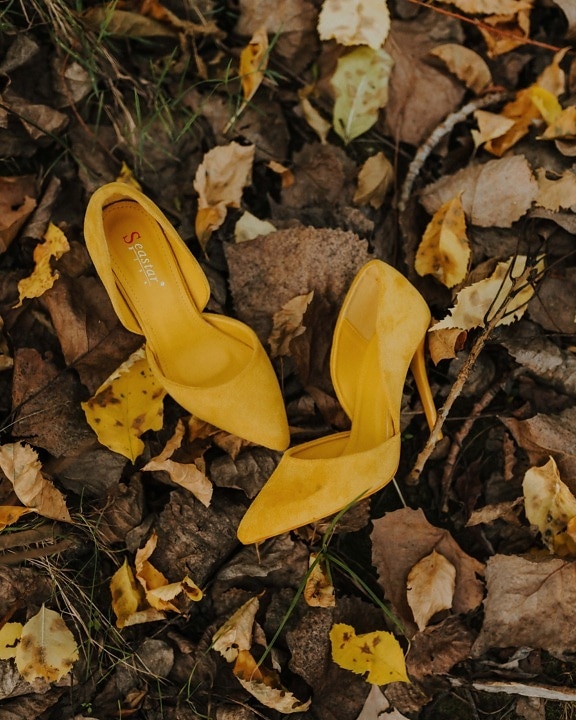 kožené, žltá, sandále, topánky, obuv, jesennej sezóny, príroda, vonku, farba, suché
