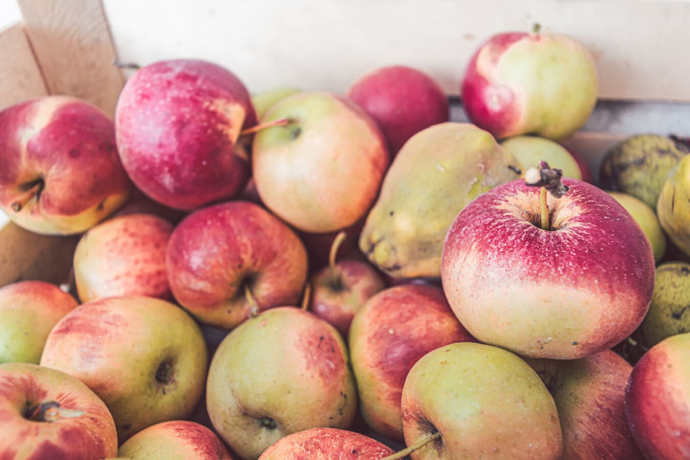 organické, jablká, ovocie, zrelé plody, produkty, poľnohospodárstvo, čerstvé, chutné, jablko, zdravé