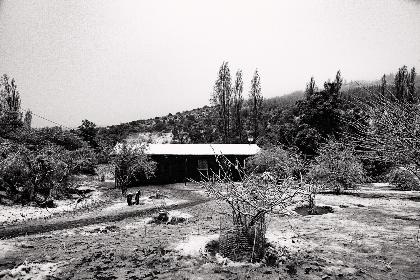 Заснеженный сельский коттедж в пейзаже черно-белое фото