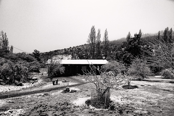 Manzara siyah beyaz fotoğrafta karlı kırsal kır evi