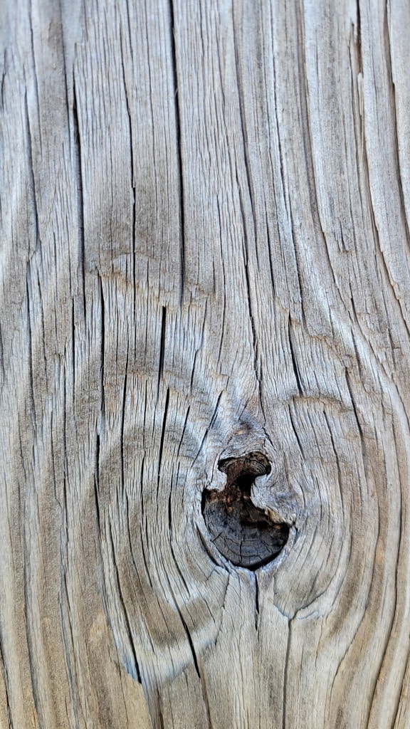 dub, Knot, tvrdé dřevo, prkno, textura, šedá, tesařství, drsné, dřevo, deska