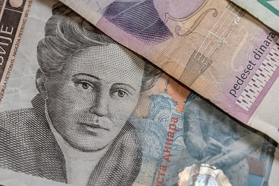 Pappers-pengar, Serbien, kontanter, serbisk dinar, valuta, besparingar, sedel, investeringar, ekonomin, inkomst