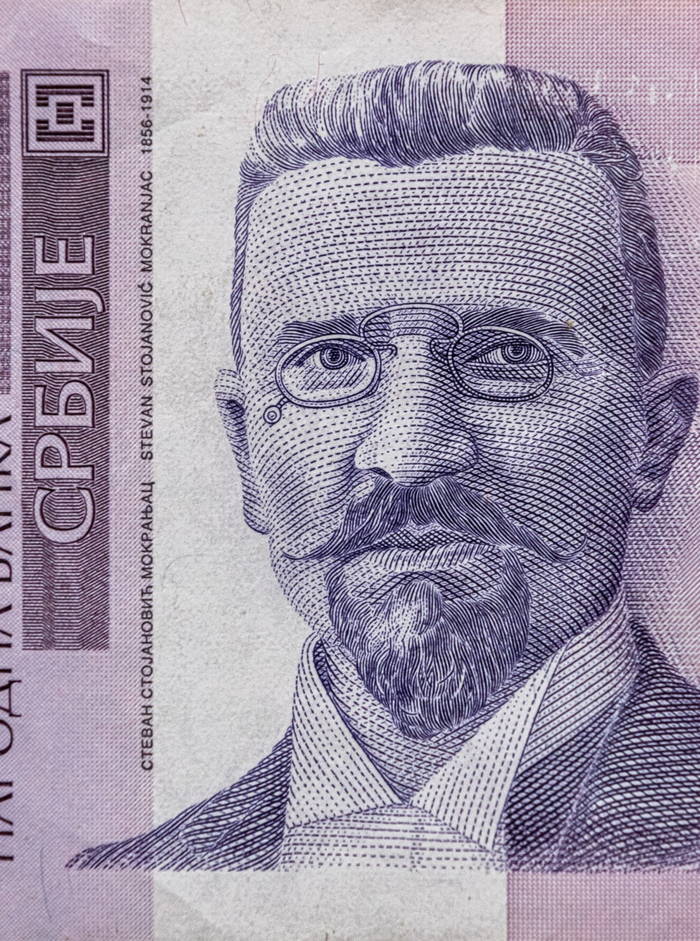 zblízka, bankovka, srbský dinár, vytisknout, fialová, portrét, hotovost, měna, peníze, papír