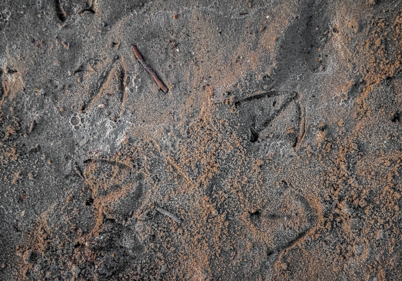 wet, sand, dirty, texture, ground, rough, surface, pattern