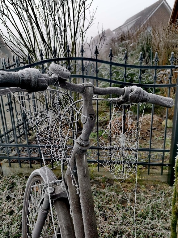 ouderwetse, fiets, vorstost, spinnenweb, stuurwiel, bevroren, koude, hek