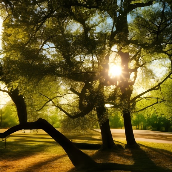 Jarní čas, stromy, sluneční světlo, slunečních paprsků, podsvícení, kresba, umění, parku