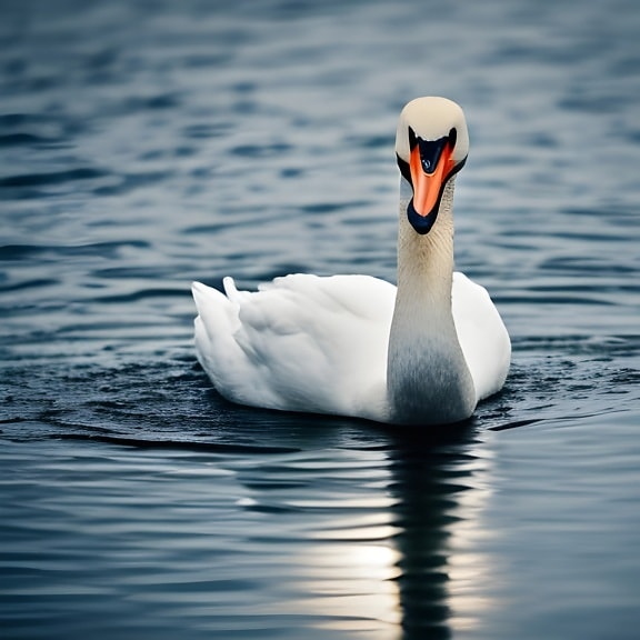 Swan swimming on a lake – computer generated artwork