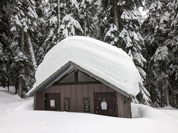nevado, casa de campo, profundo, nieve, granero, invierno, frío, rural
