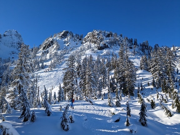 esquiador, escalada, nevado, montanhas, inclinação, paisagem, frio, árvore