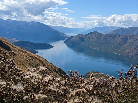 Majestátna panoráma jazera v údolí s bavlníkovou trávou v popredí