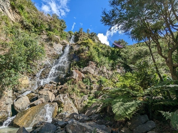 Vackert kaskadvattenfall i Nya Zeelands nationalpark