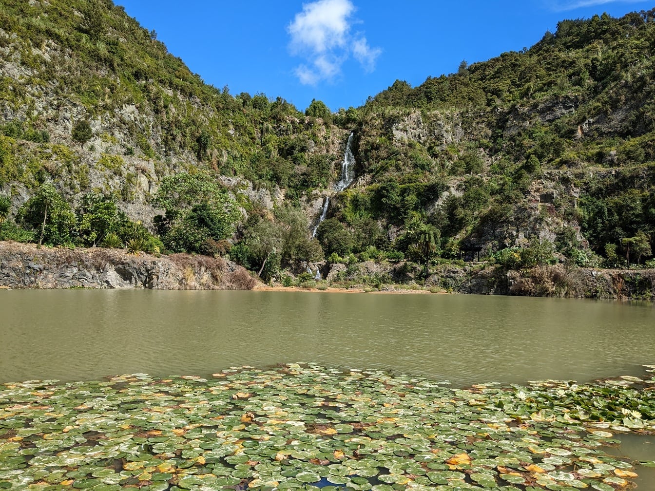 Whangarei Quarry градини езеро субтропичен оазис Нова Зеландия