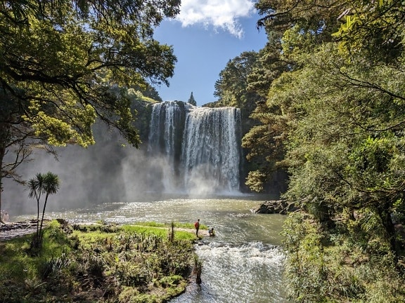 Whangarei waterfalls in New Zealand majestic landscape