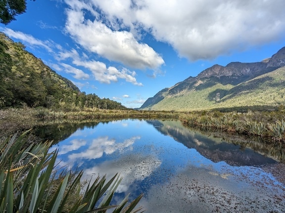 Swamp mirror lake in mountains at summer day