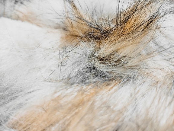 Close-up of artificial, faux fur texture