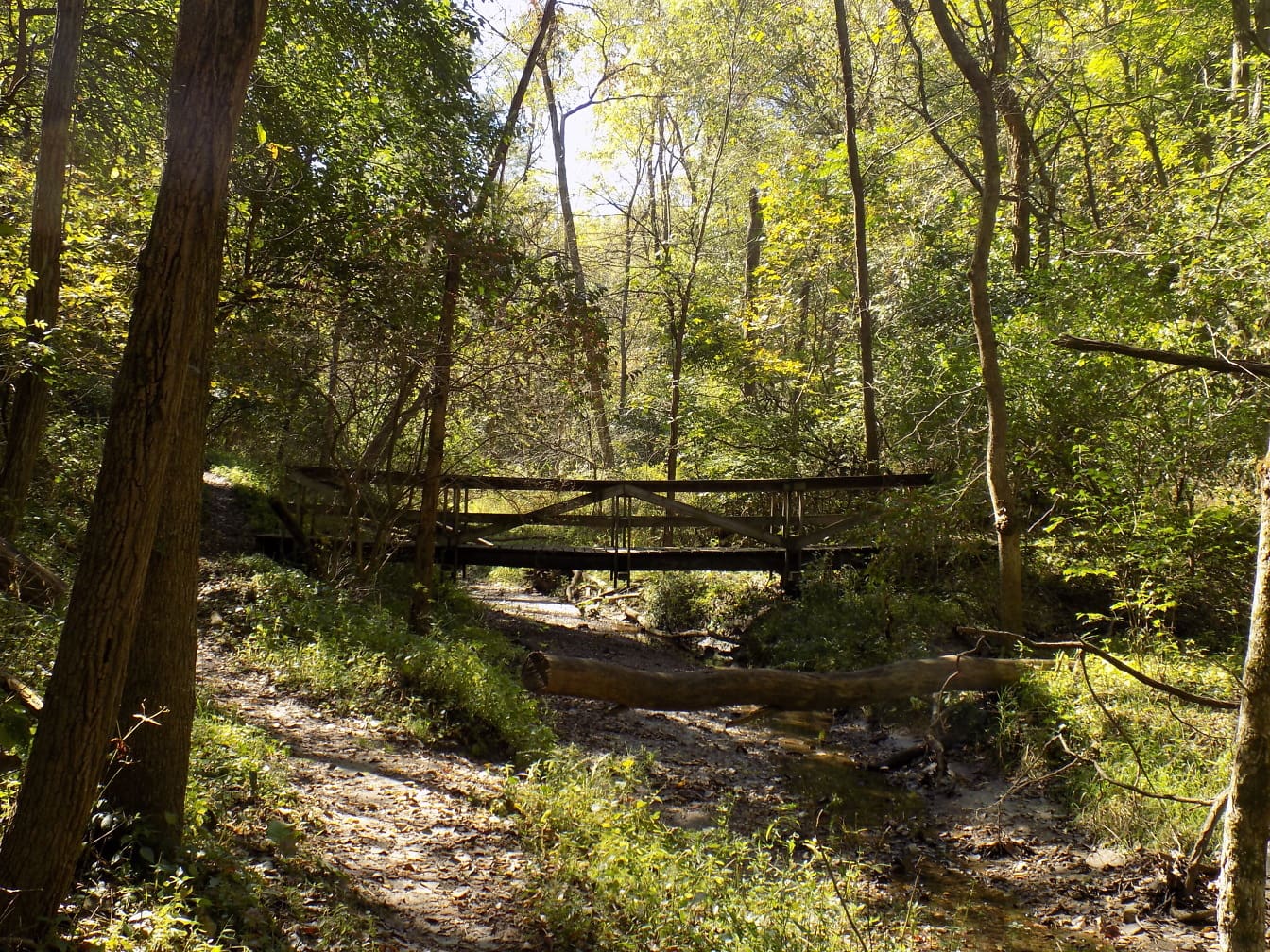 Ponte di legno fatto a mano che attraversa il fiume della foresta