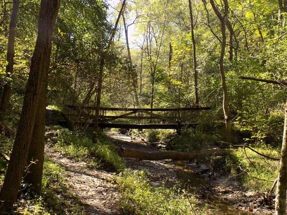 Handmade wooden bridge crossing over forest river