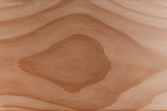 Cross section of wooden plank with knot