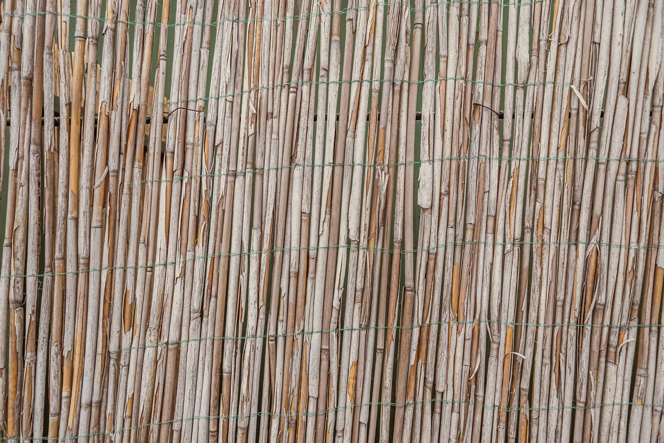 Gros plan de texture rustique de roseau vertical