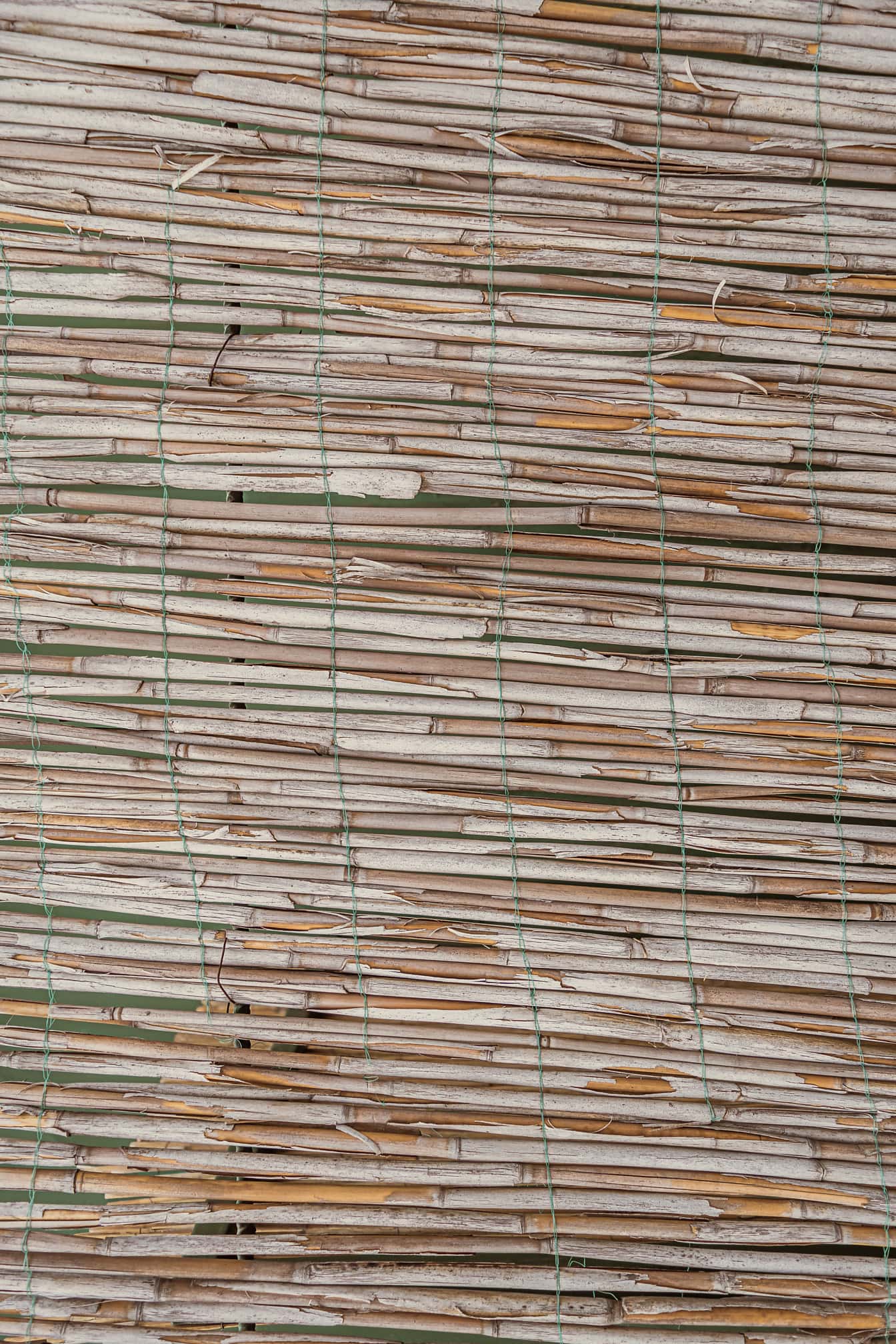 Horizontální textura suché rákosové trávy