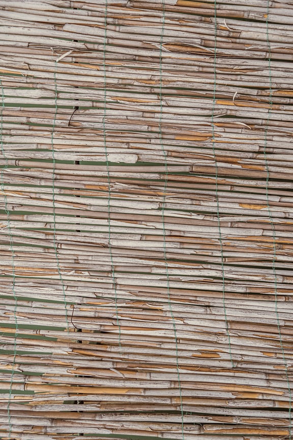 Horizontal dry reed grass texture